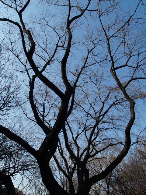 http://www.ttcbn.net/no_second_life/P2077531.jpg