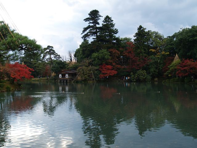 �摜
