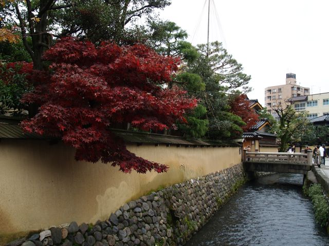 �摜