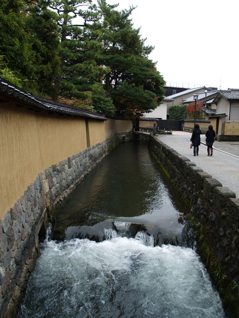 �摜